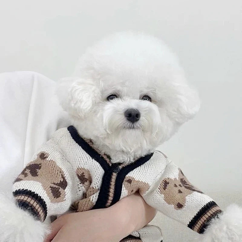 Dog cardigan made of knit warm and striped Bowlift