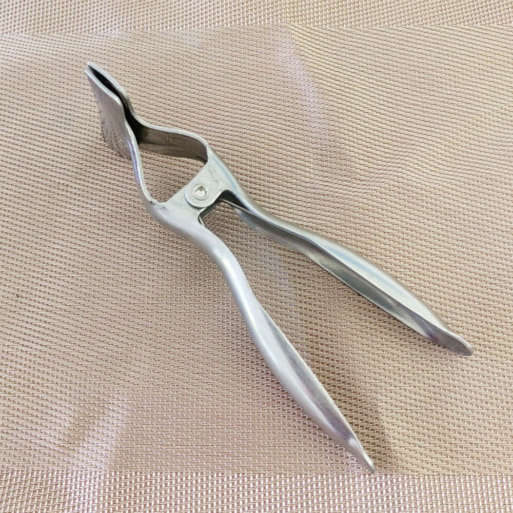 BowLift | Stainless Steel Watermelon Cut in Half Tool