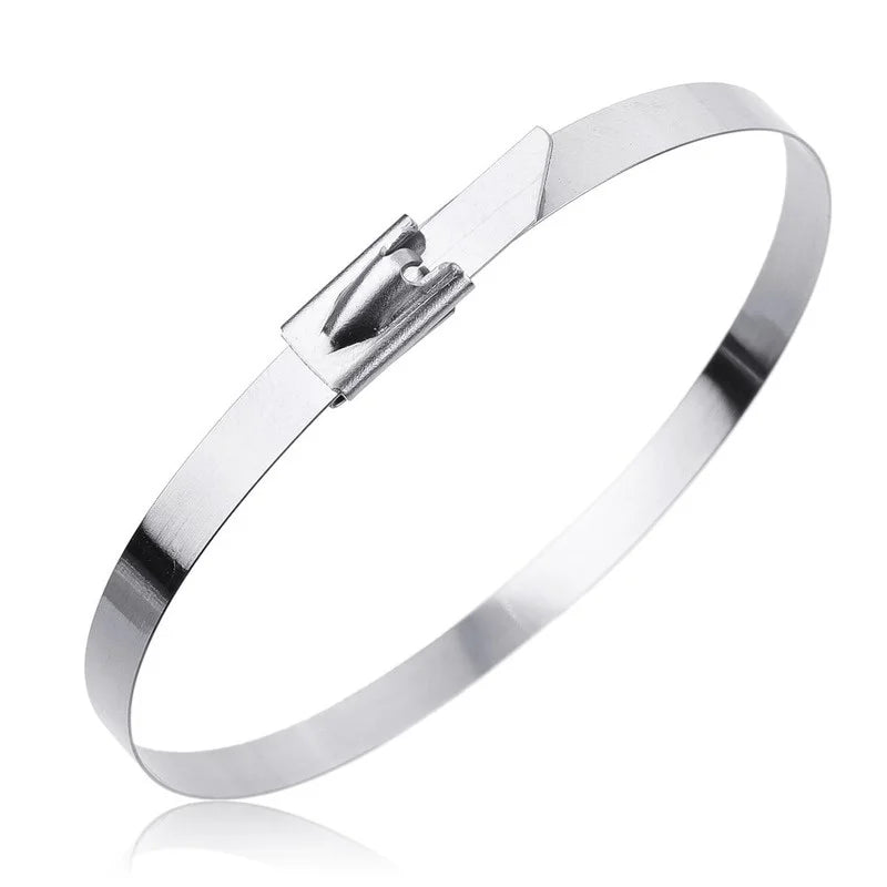 BowLift | Heavy-Duty Stainless Steel Cable Zip Ties