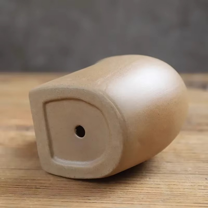 BowLift | Handcrafted Animal Ceramic Succulent Pots, Small Breathable Desktop Planters