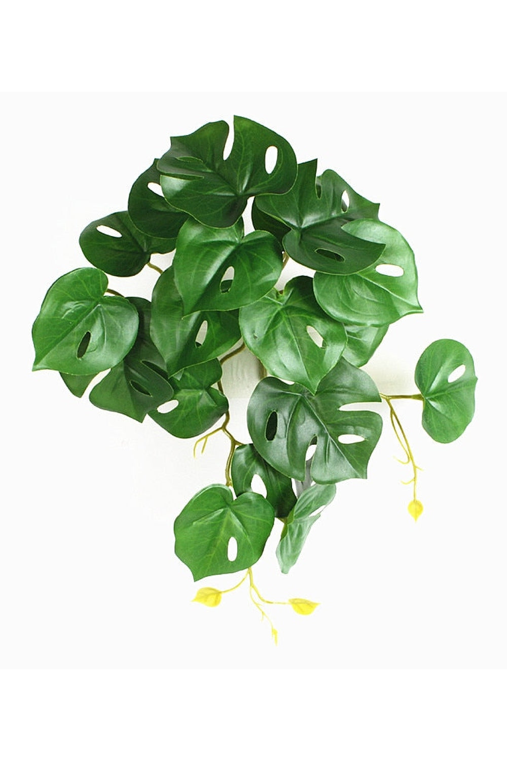 green grapevine wall decoration | Bowlift