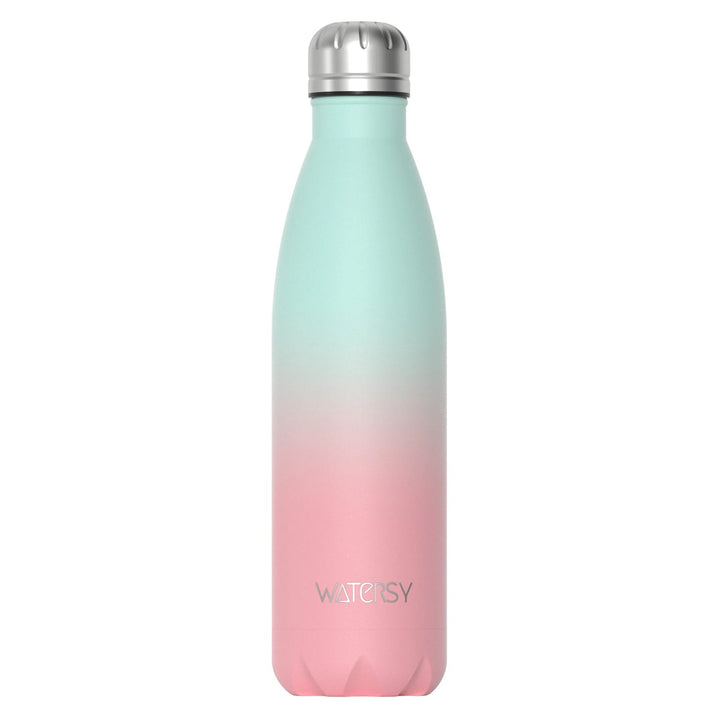 500 ml stainless steel bottle with vacuum insulation | Bowlift