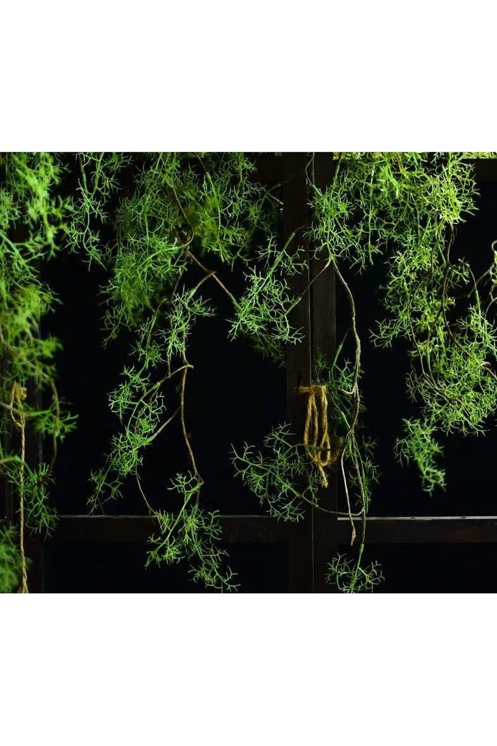 Grape Vine Wall Hanger Decor | Bowlift