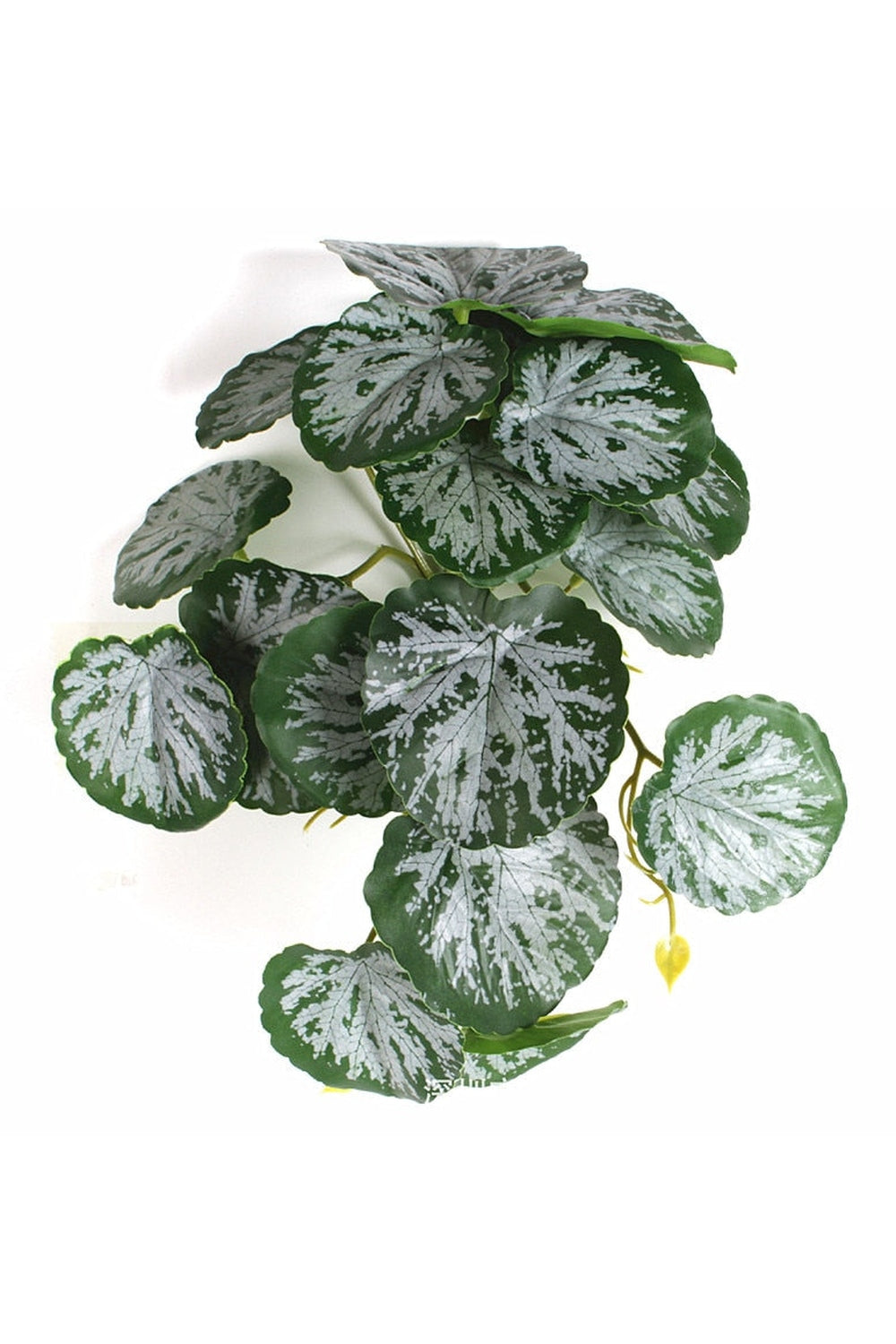 green grapevine wall decoration | Bowlift