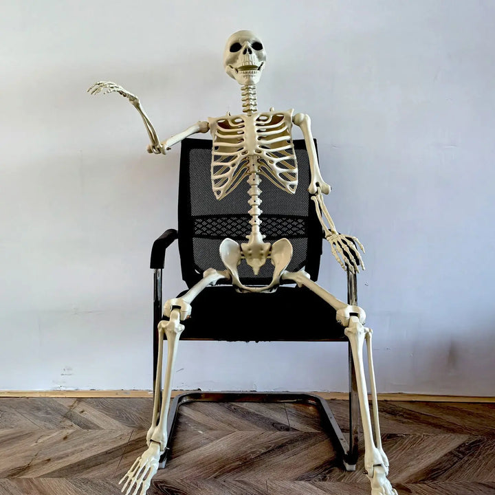 BowLift | Movable human skeleton 90–165 cm — realistic decoration for Halloween and horror parties