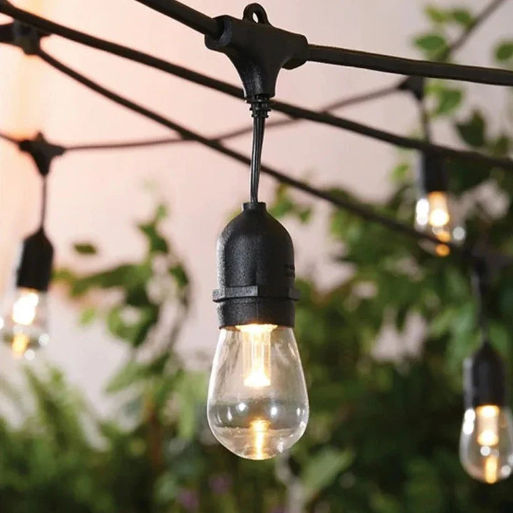 Vintage String Lights Bowlift