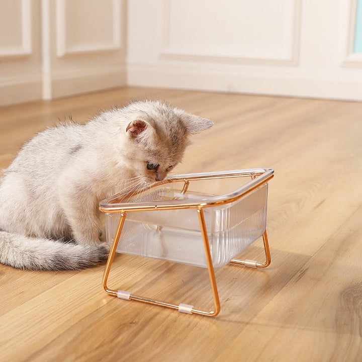Trendy Feeder for Stylish Animals Bowlift