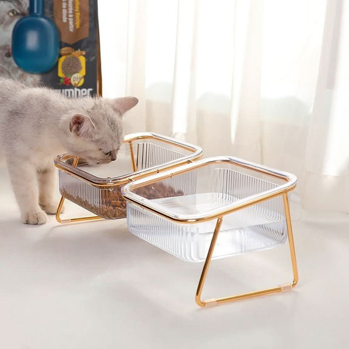 BowLift | PETCHIC – Raised feeding bowl for healthy eating posture for cats & small dogs