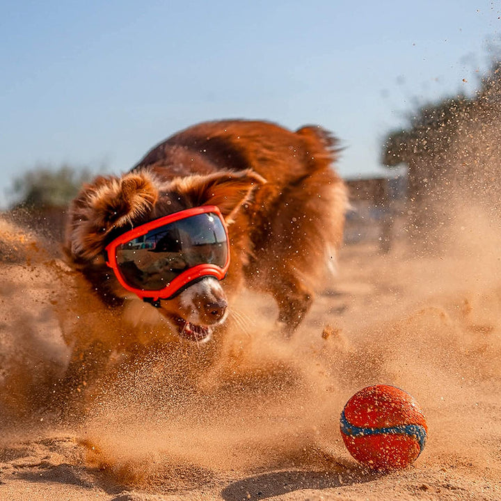 Dog sunglasses with UV protection windproof adjustable Bowlift
