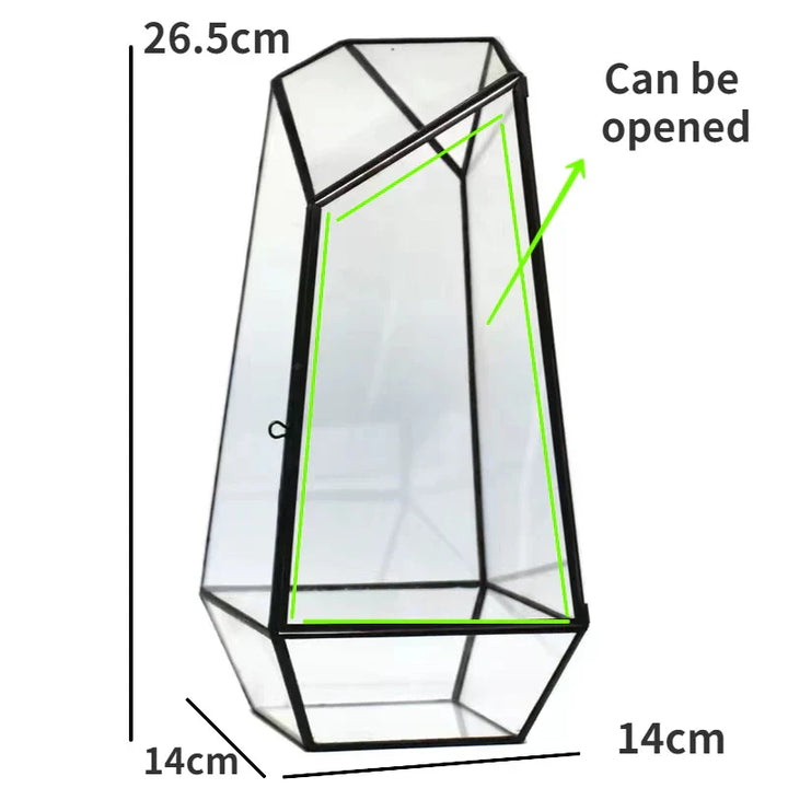 Modern Geometric Nature-Inspired Botanical Terrarium | Bowlift