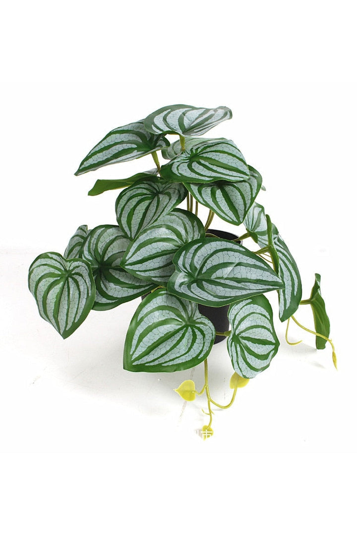 green grapevine wall decoration | Bowlift