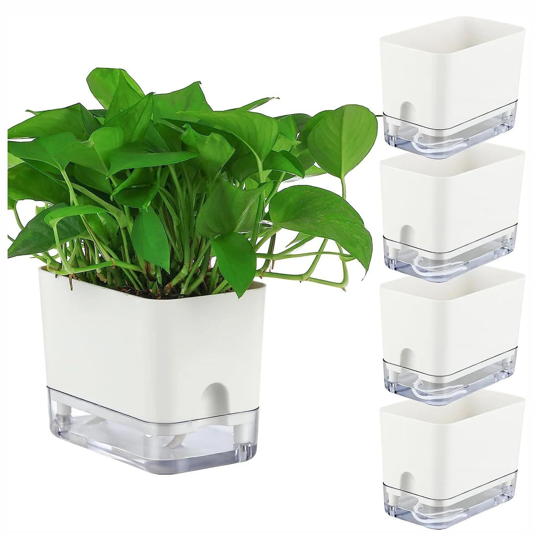 BowLift | Plant Pot BloomEase | Self-Watering & Space-Saving | With Water Level Indicator | For Indoor Plants & Herbs