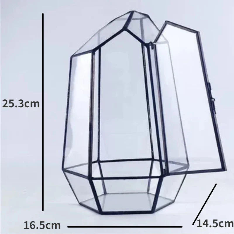 Modern Geometric Nature-Inspired Botanical Terrarium | Bowlift