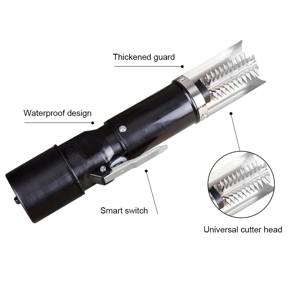 BowLift | Ultimate Fish Cleaner Prep Scale Remover