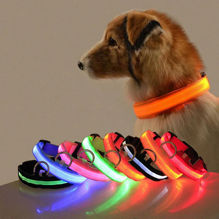 GlowCollar LED – BrightPaws Bowlift