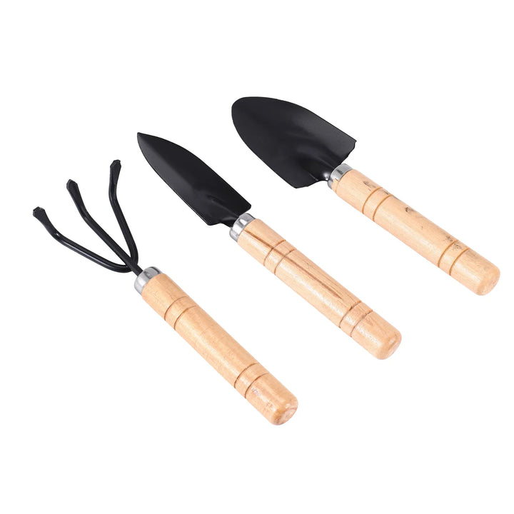 BowLift | Planturio Mini Garden Tool Set 3-piece | Spade, Shovel & Rake | Wooden Handle & Metal Head | For Bonsai & Houseplants