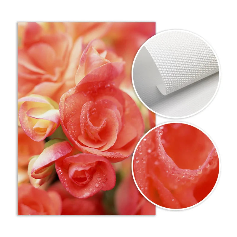 Pink Red Roses Floral Wall Art Fine Art Canvas Prints Modern Botanical Posters Pictures For Living Room, Bedroom Art Decor | Bowlift