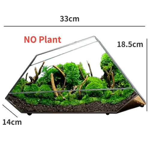 Geometric Glass Moss Planter Terrarium Vase | Bowlift