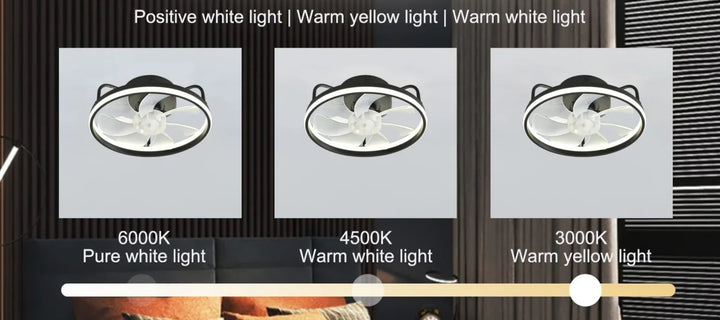 Modern LED Ceiling Fan Light with DC Motor - 6 Speed, Timer, Low Floor Attic Fan, Remote Control Decorative Light | Bowlift