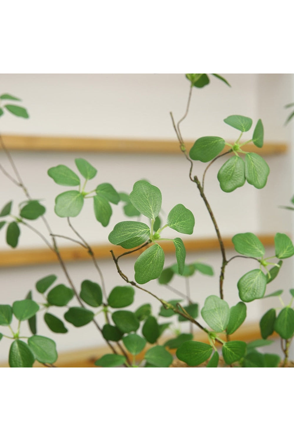 Guanyin Lotus Leaf Decor | Bowlift