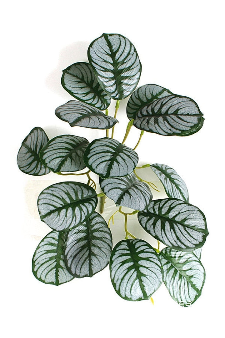 green grapevine wall decoration | Bowlift