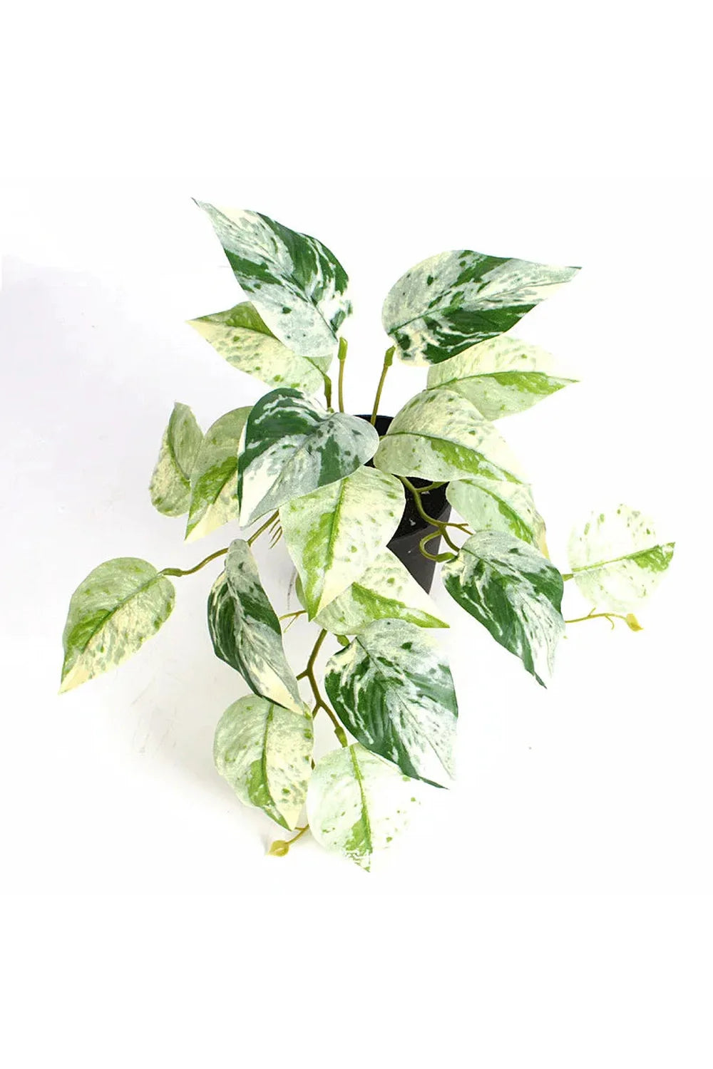 Green Artificial Plants | Bowlift