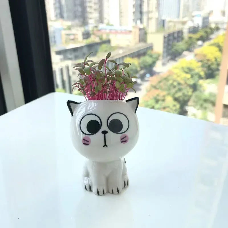BowLift | PurrPlant Mini Ceramic Pot | Cute Cat Design | For Desk & Decor