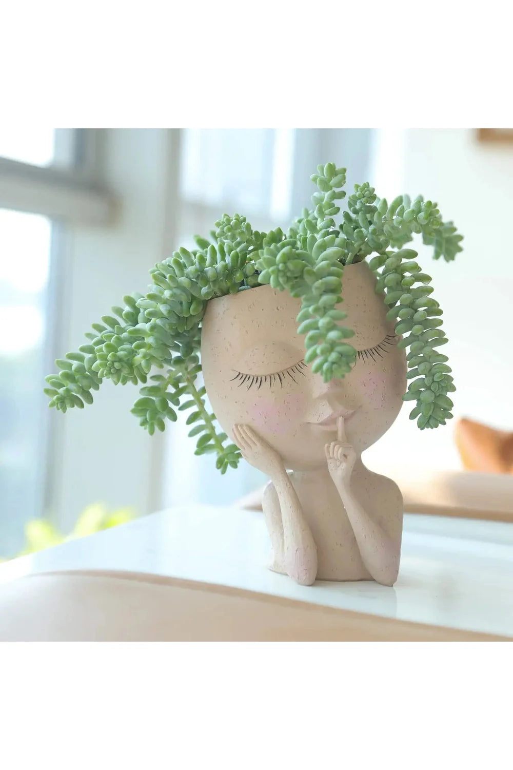 Succulent Plants Pot | Bowlift