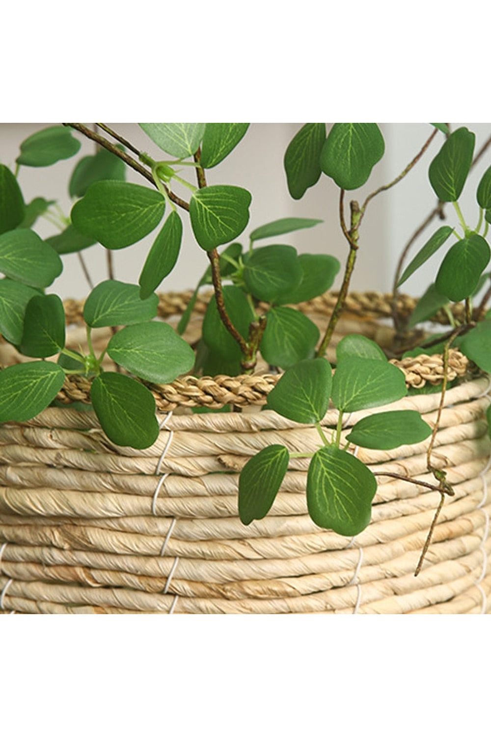 Guanyin Lotus Leaf Decor | Bowlift