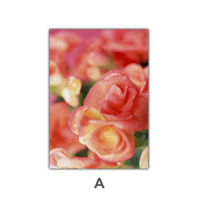 Pink Red Roses Floral Wall Art Fine Art Canvas Prints Modern Botanical Posters Pictures For Living Room, Bedroom Art Decor | Bowlift