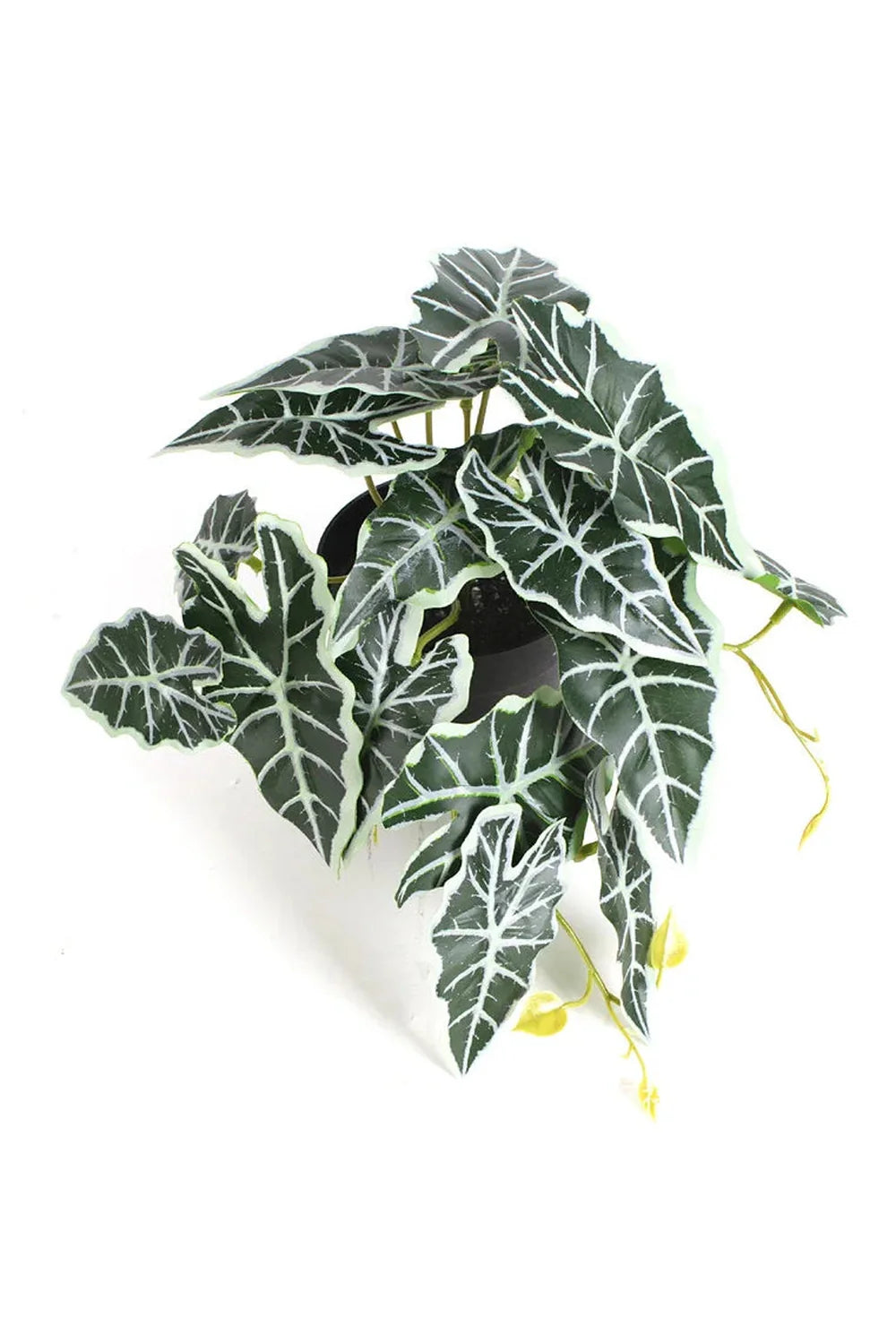 Green Artificial Plants | Bowlift