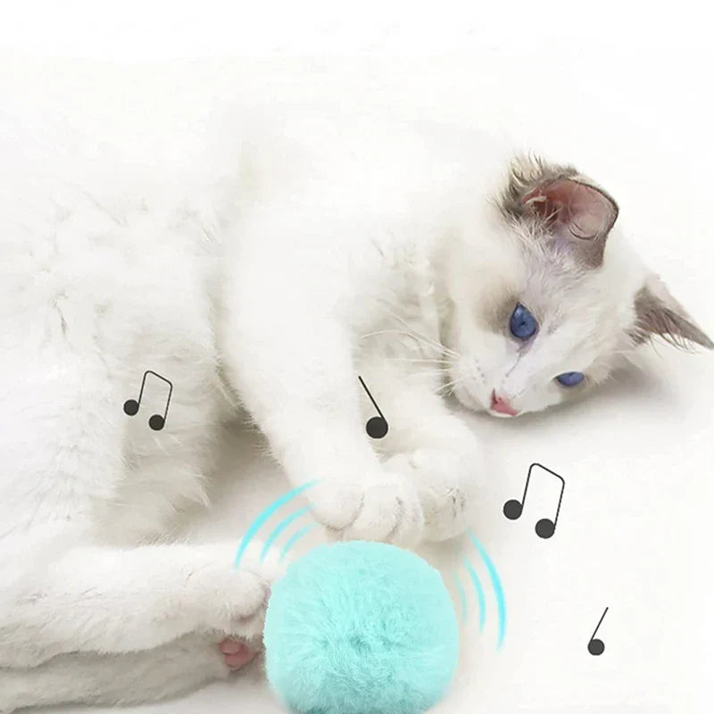 BowLift | – smarter interactive plush ball for cats | buy 1, get 1 free 🎁