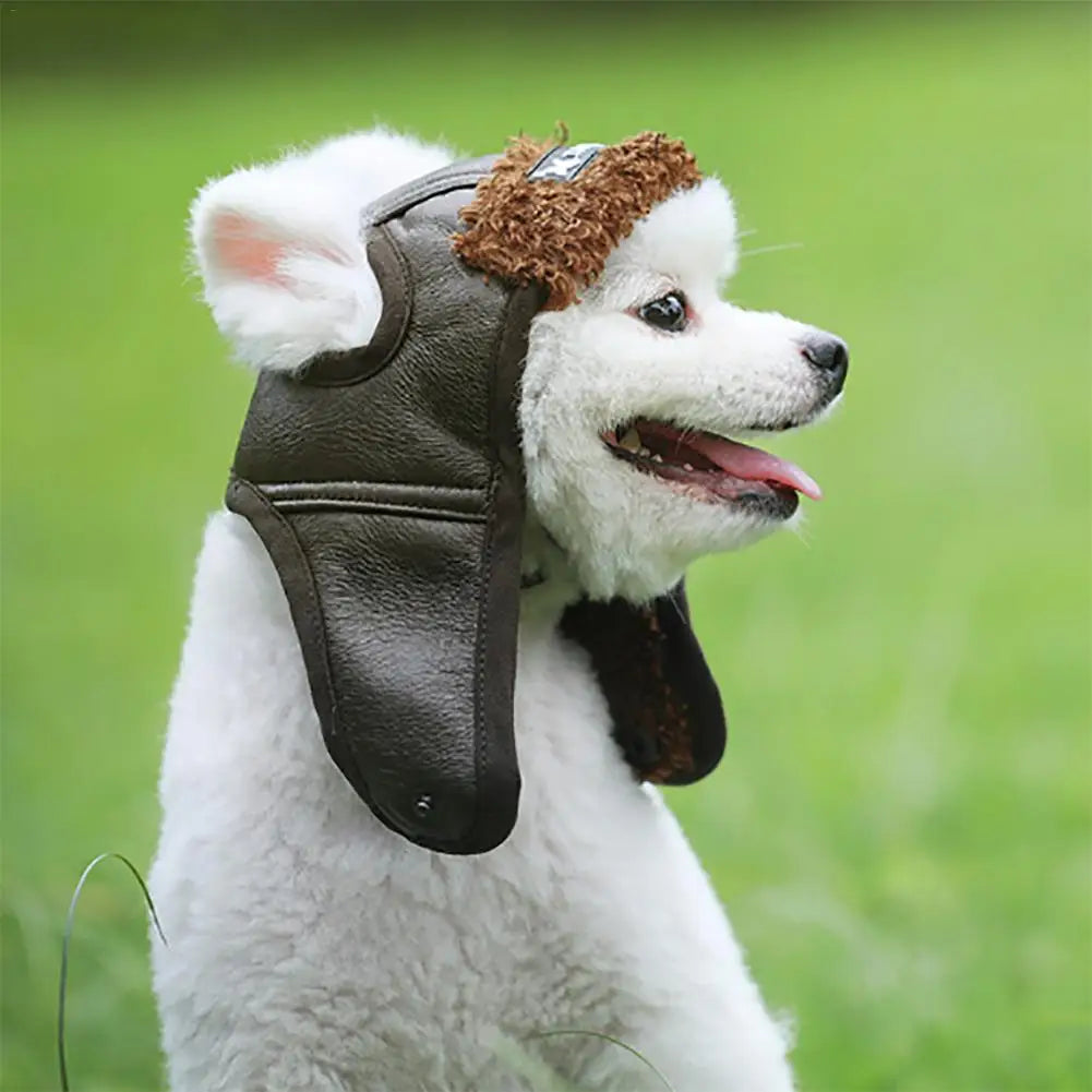 Winter pilot cap for pets warm and comfortable Bowlift
