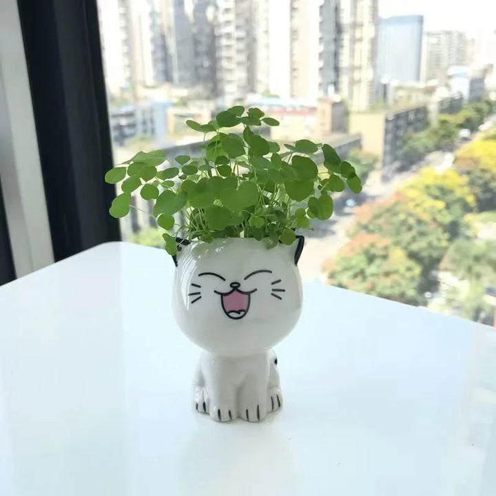 BowLift | PurrPlant Mini Ceramic Pot | Cute Cat Design | For Desk & Decor