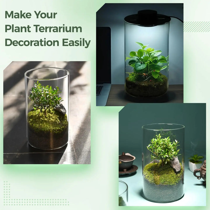BowLift | Mini Forest Maker Terrarium Decor Vase