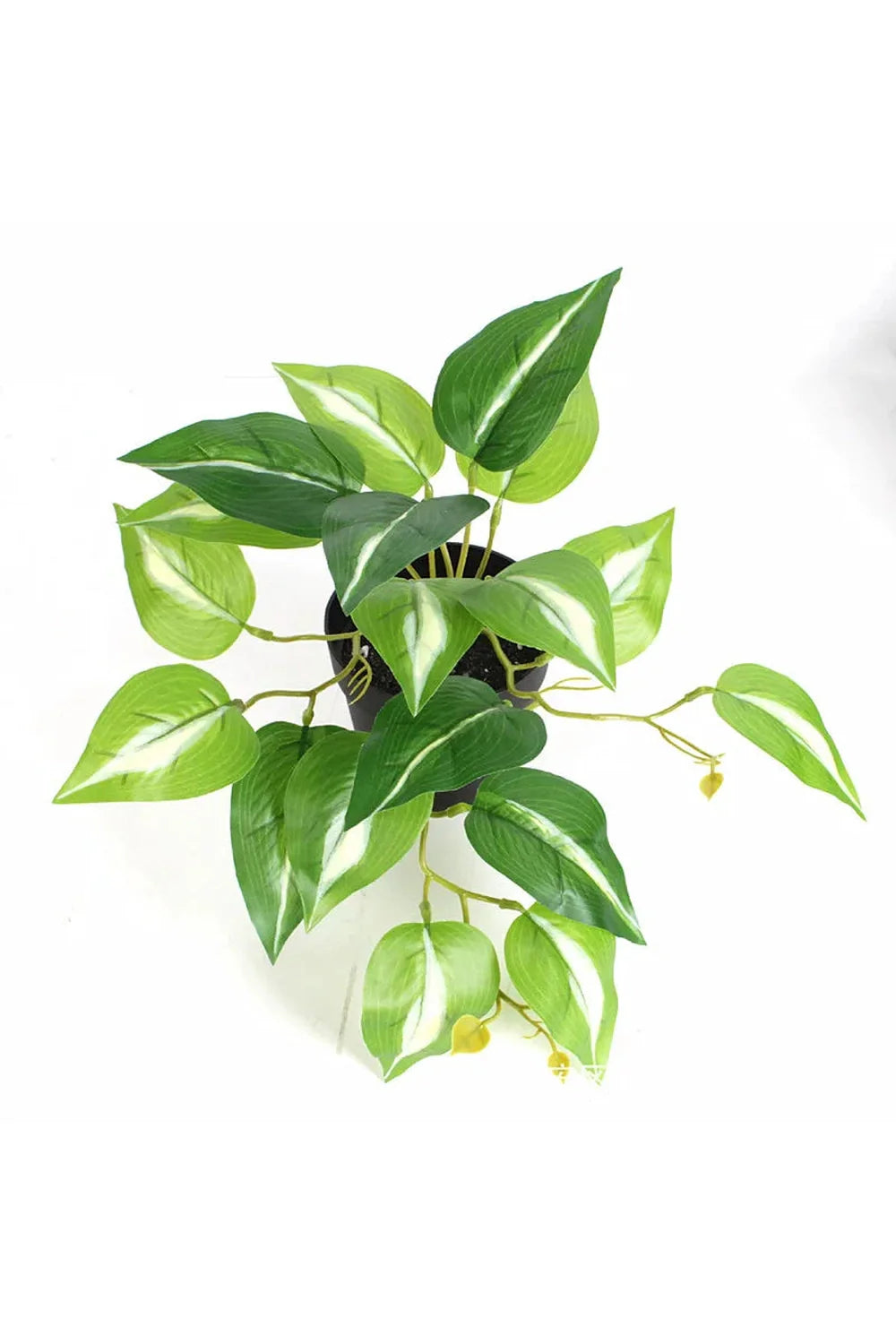 Green Artificial Plants | Bowlift