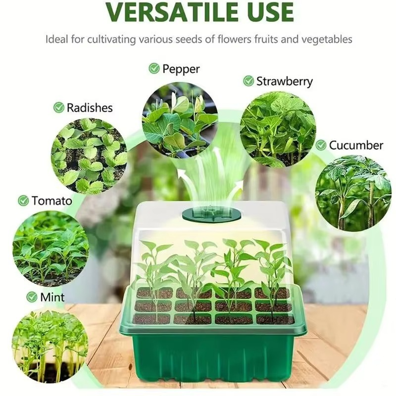 BowLift | 12-Cell Plastic Seedling Starter Tray for Succulent and Garden Seeds