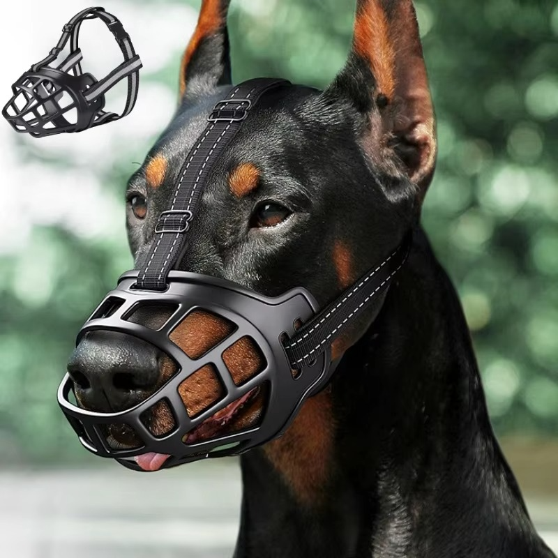 GuardPaw — Finally enjoy every walk worry-free and secure | Bowlift