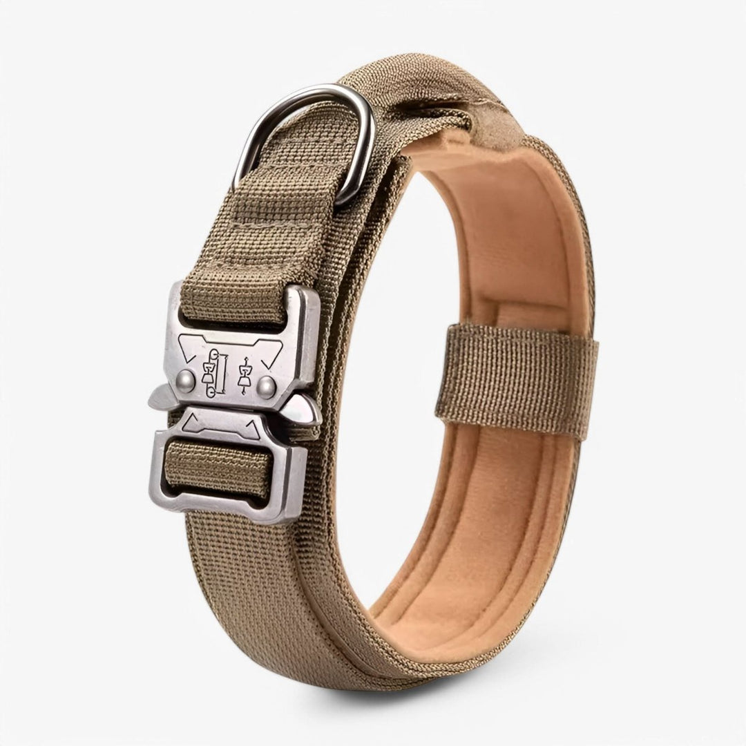 BowLift | Durable & Adjustable Collar for Training & Everyday Use