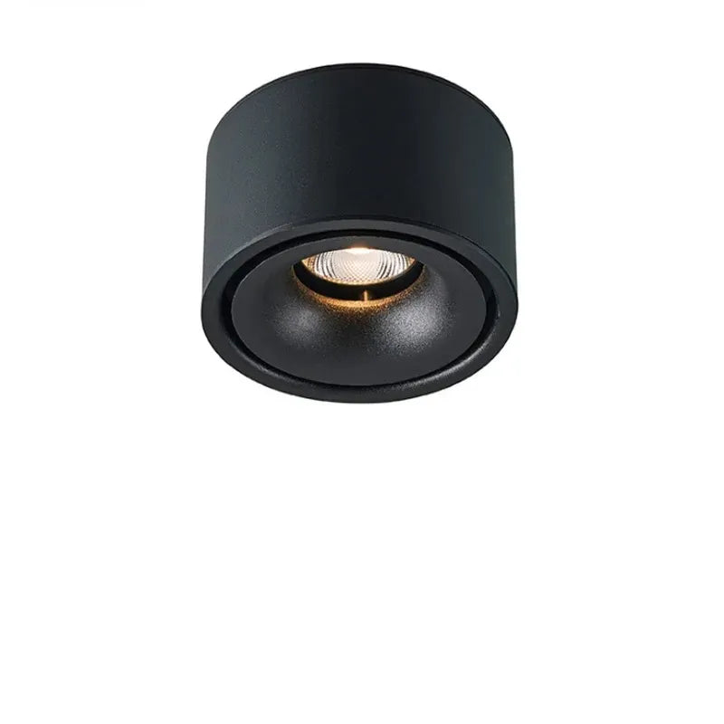 BowLift | Glare-free LED Ceiling Spot