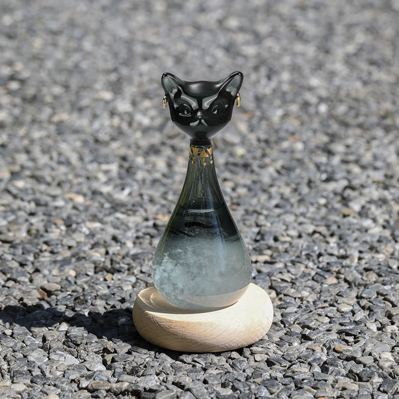 Cat-Inspired Weather Forecast Bottle | Bowlift