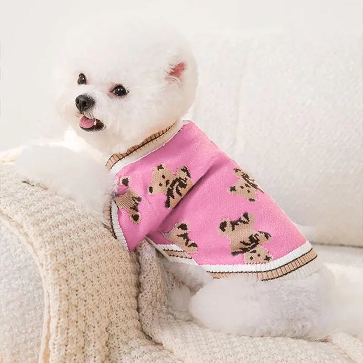 Dog cardigan made of knit warm and striped Bowlift