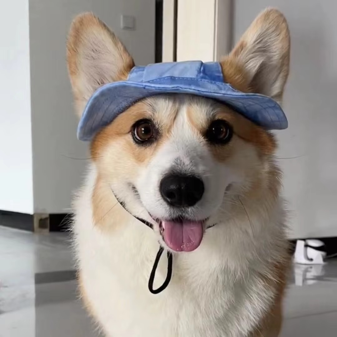 BowLift | Chic Pet Sun Hat - Lightweight & Stylish Sun Protection for Dogs and Cats