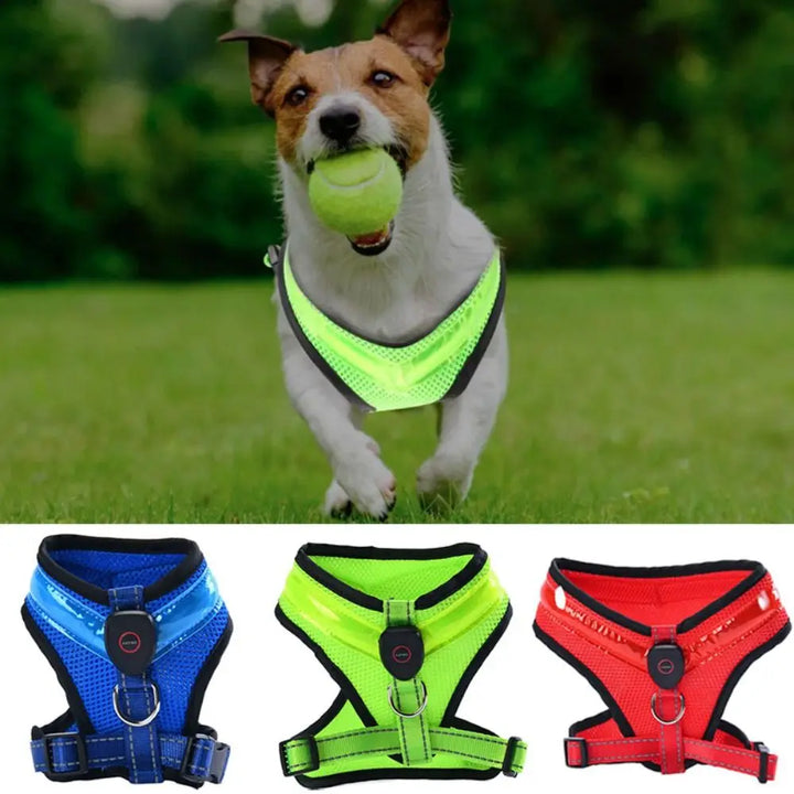 LED Dog Harness USB rechargeable & adjustable Bowlift