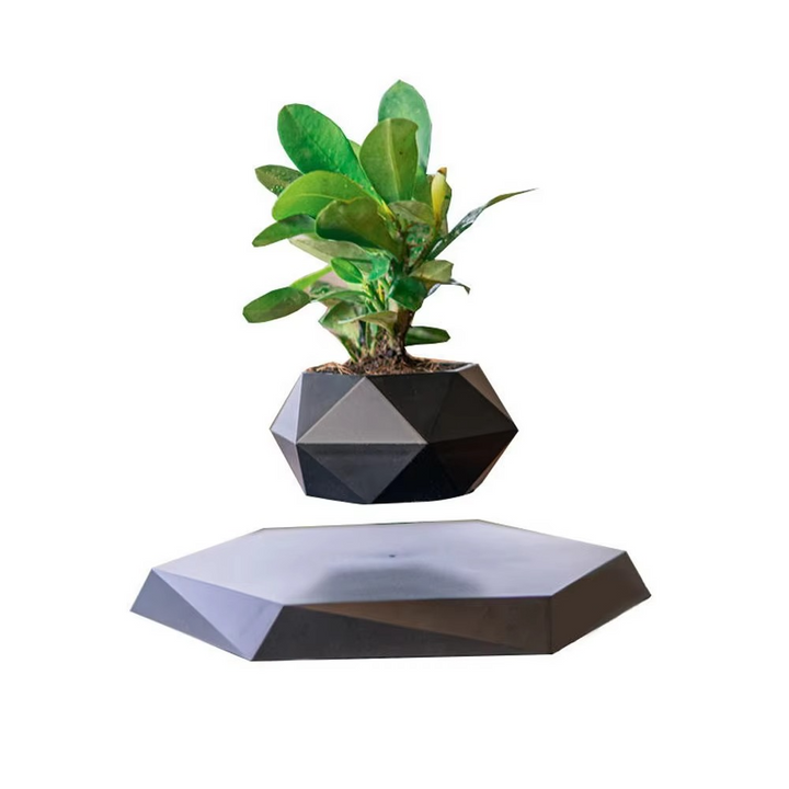 BowLift | Magnetic Levitating Bonsai Planter, Floating Flower Pot for Home and Office Décor