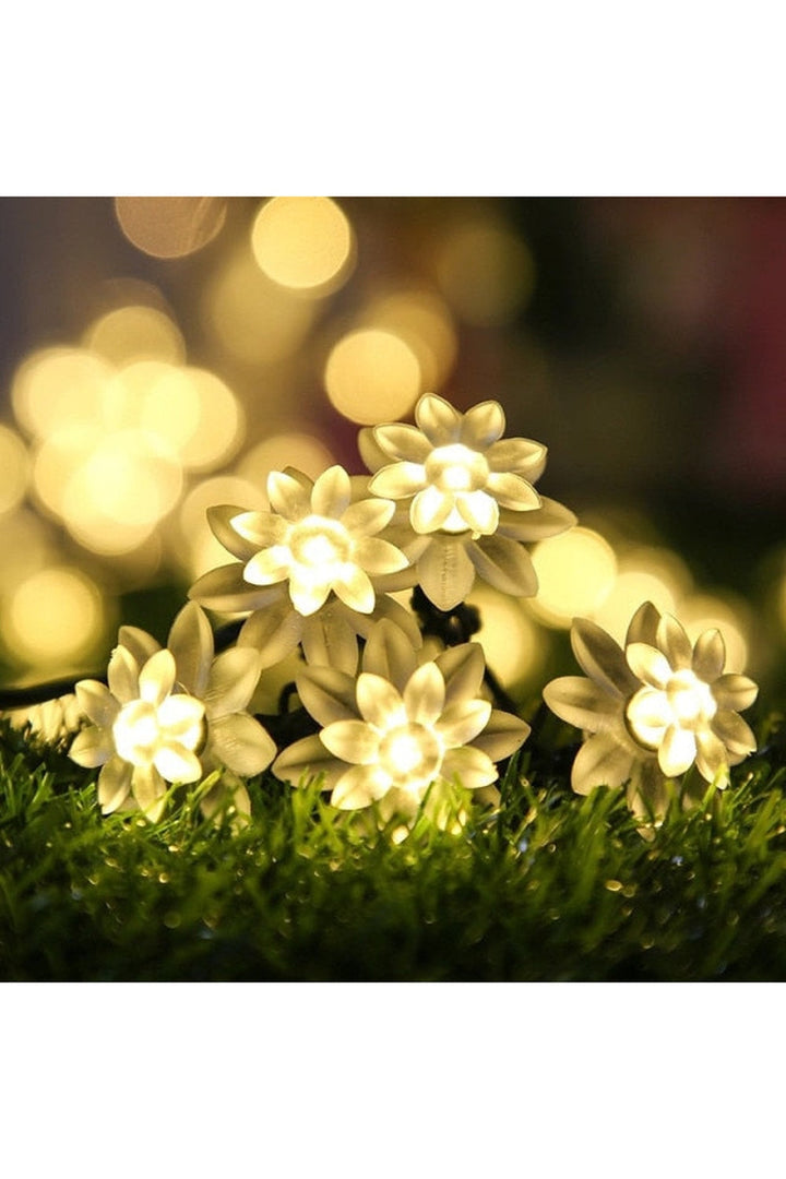 Solar Blossom String Lights | Bowlift