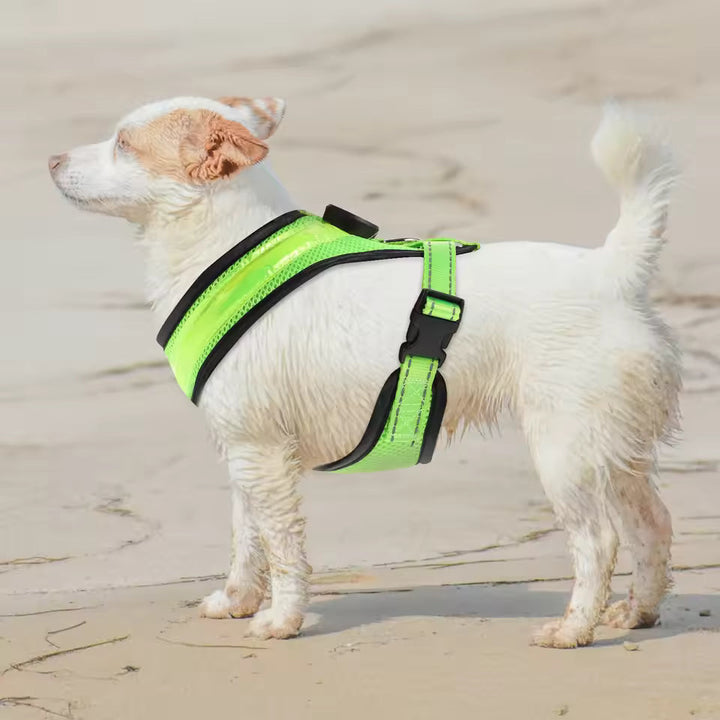 LED Dog Harness USB rechargeable & adjustable Bowlift