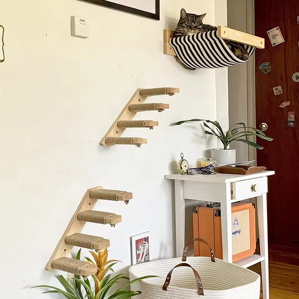 Cat climbing ladder for wall mounting made of wood with sisal Bowlift