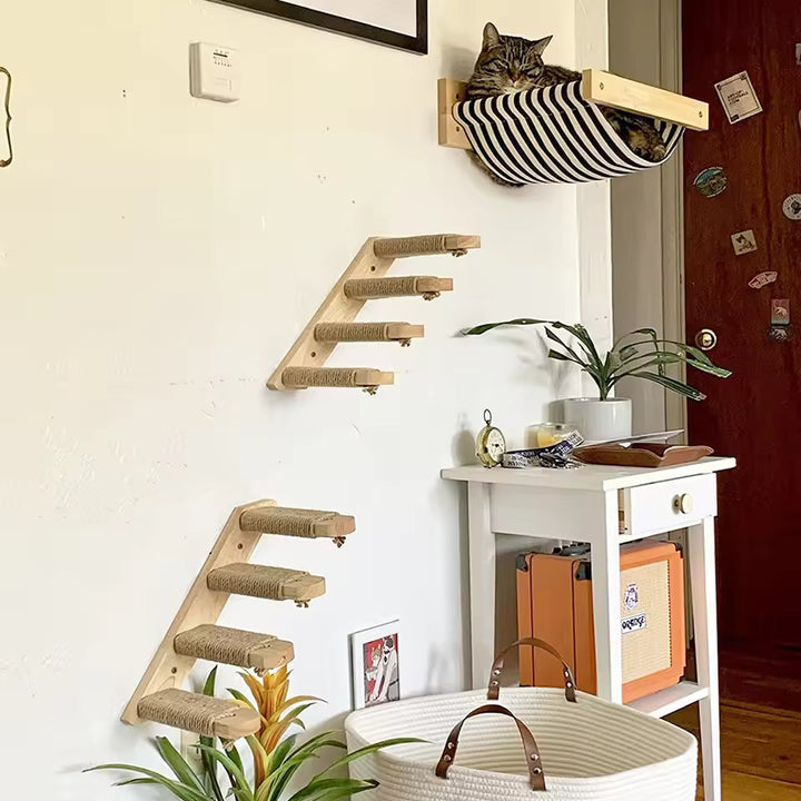 Cat climbing ladder for wall mounting made of wood with sisal Bowlift