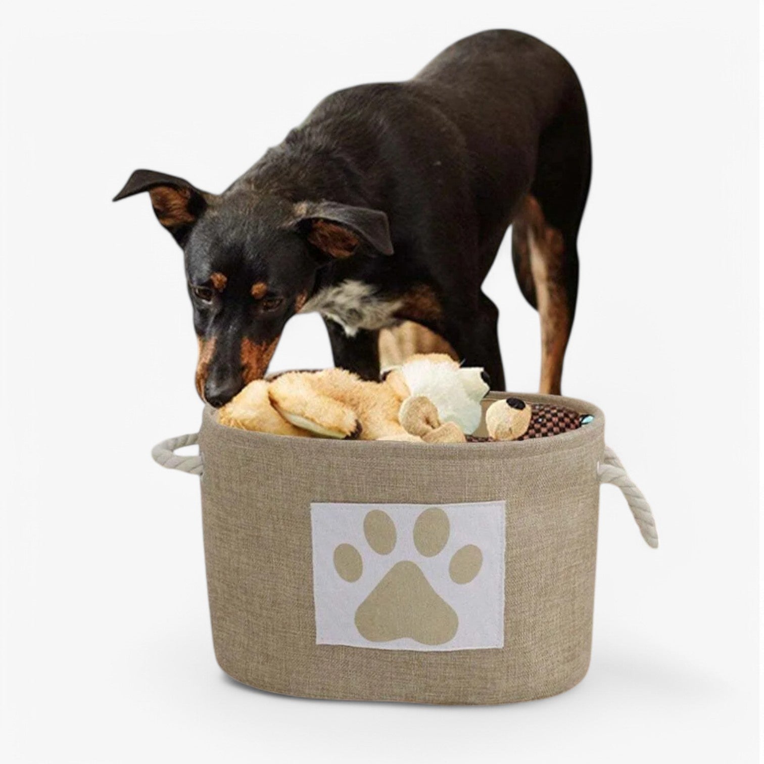 BowLift | Foldable Toy Basket "OrderNest" for Dog Accessories